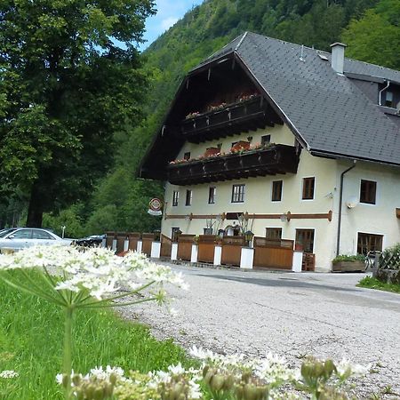Gasthof Steinbraeu Faistenau Buitenkant foto